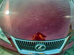 Lexus IS 2009