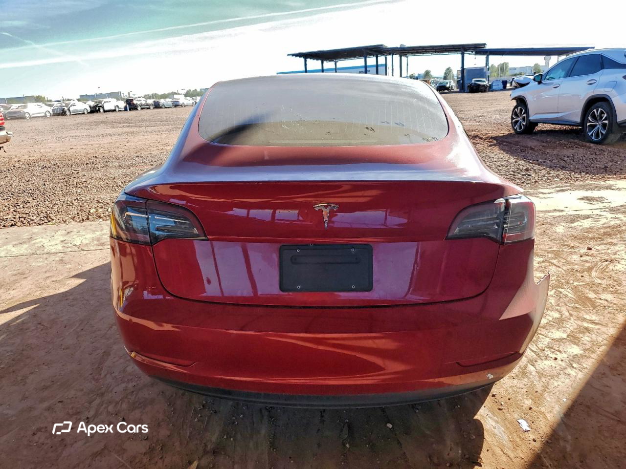 Tesla Model 3 2019