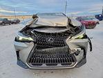 Lexus NX 2022