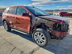 Ford Edge 2014