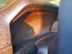 Ford Ranger 2024