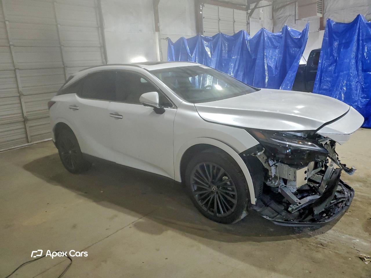 Lexus RX 2025
