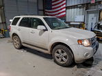 Ford Escape 2010