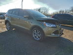Ford Escape 2013