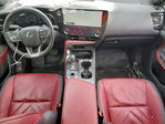 Lexus NX 2022