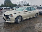 Honda Accord 2013