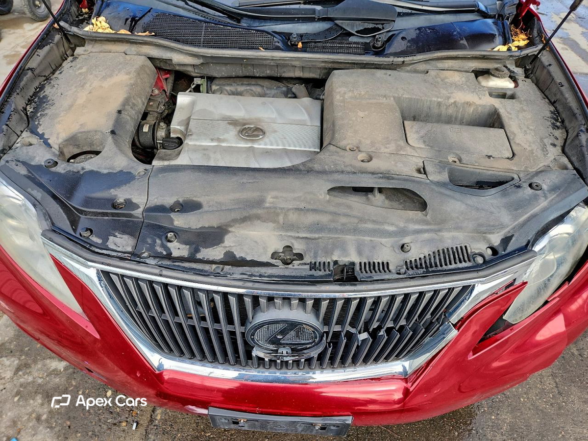 Lexus RX 2010