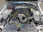 Ford Mustang 2005