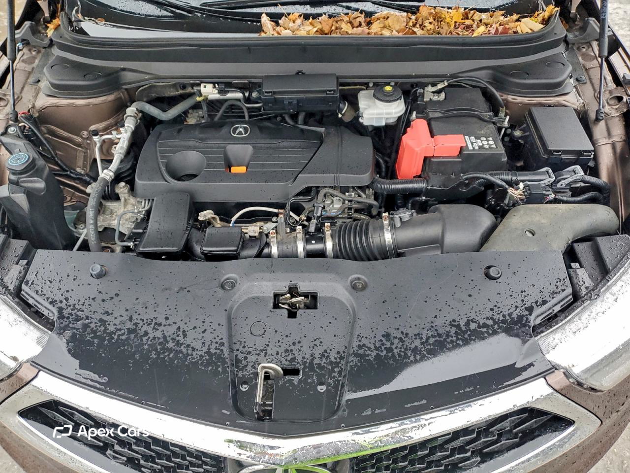 Acura RDX 2019