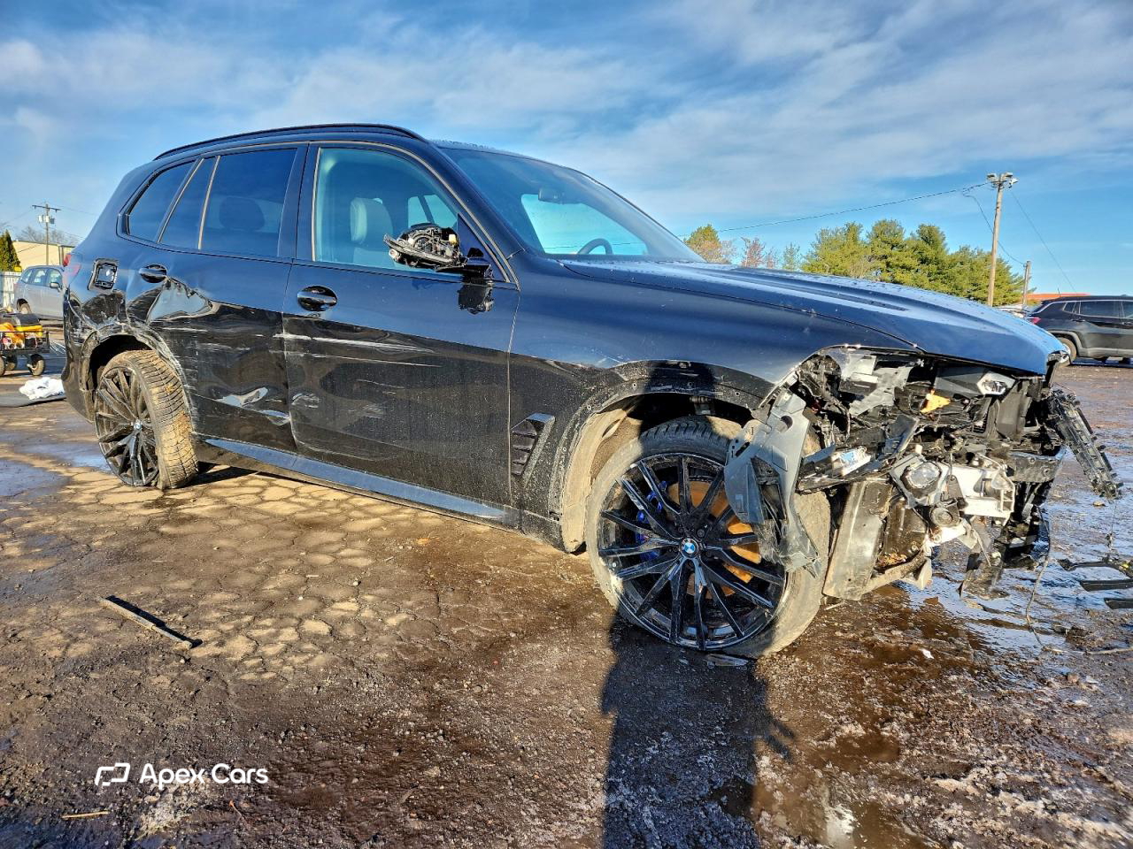 BMW X5 2025