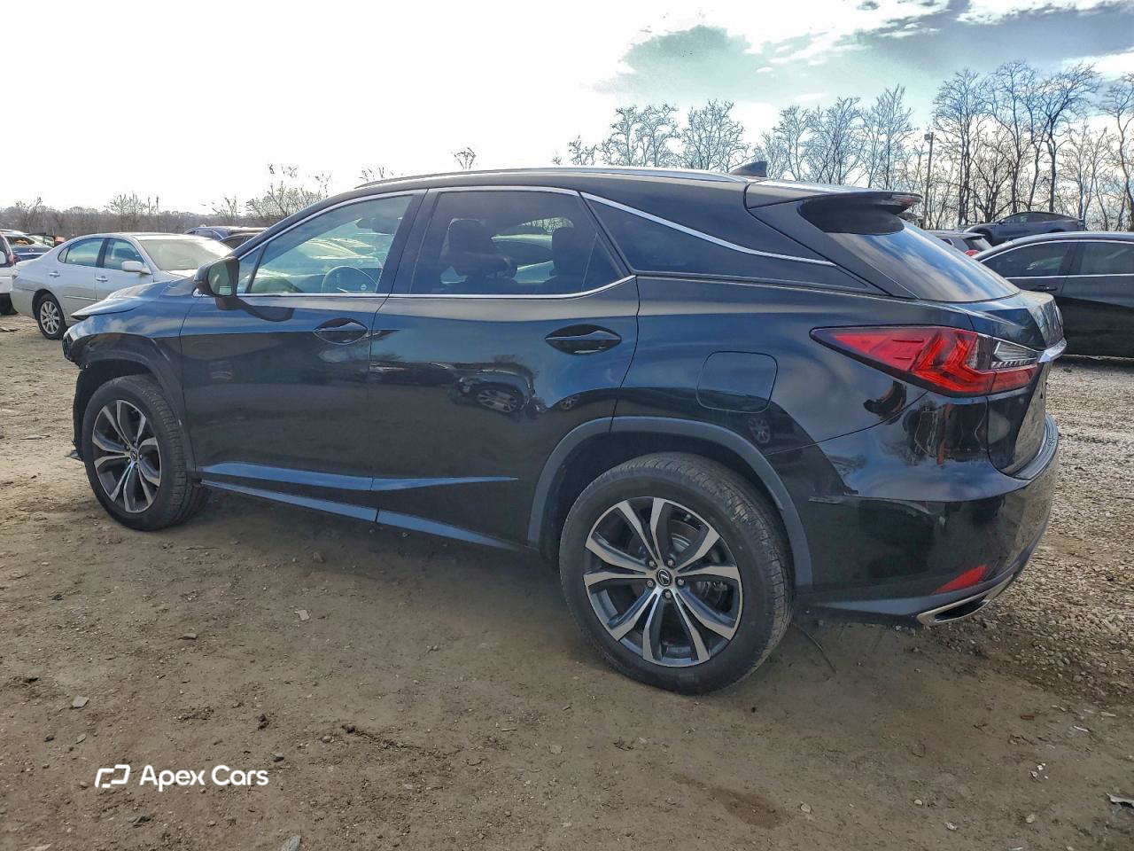 Lexus RX 2020