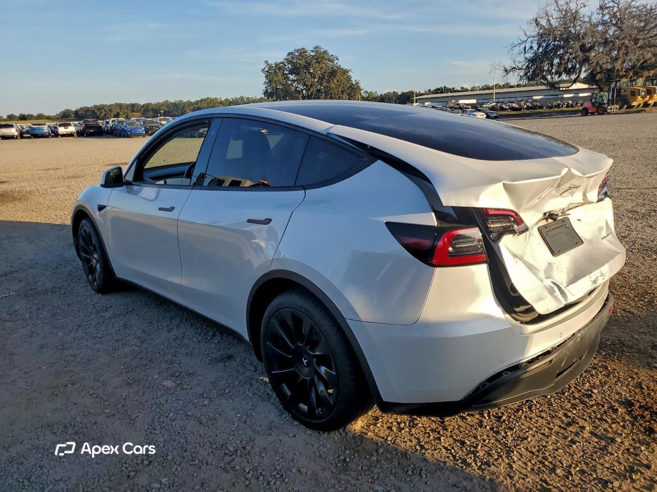 Tesla Model Y 2020