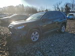 Toyota RAV 4 2021