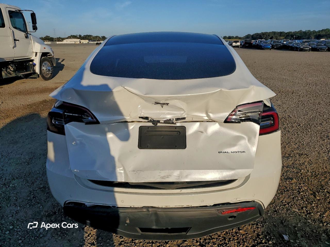 Tesla Model Y 2020