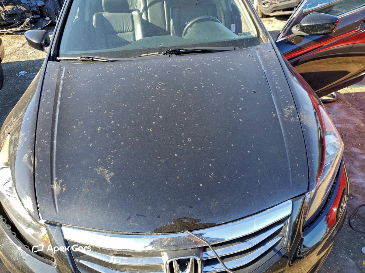 Honda Accord 2011