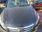 Honda Accord 2011