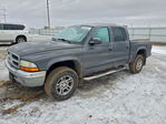 Dodge Dakota 2004