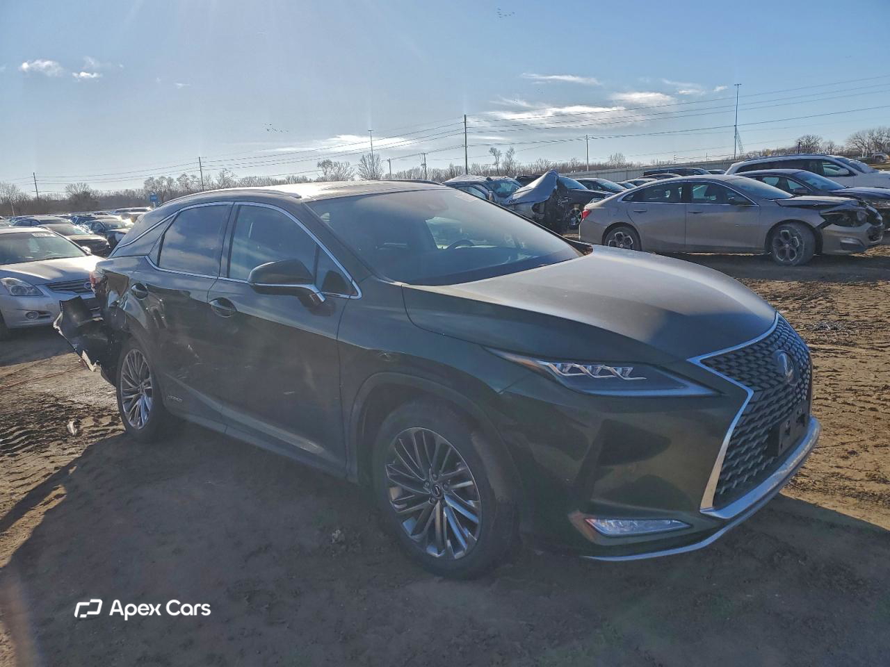 Lexus RX 2022