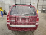Ford Escape 2011