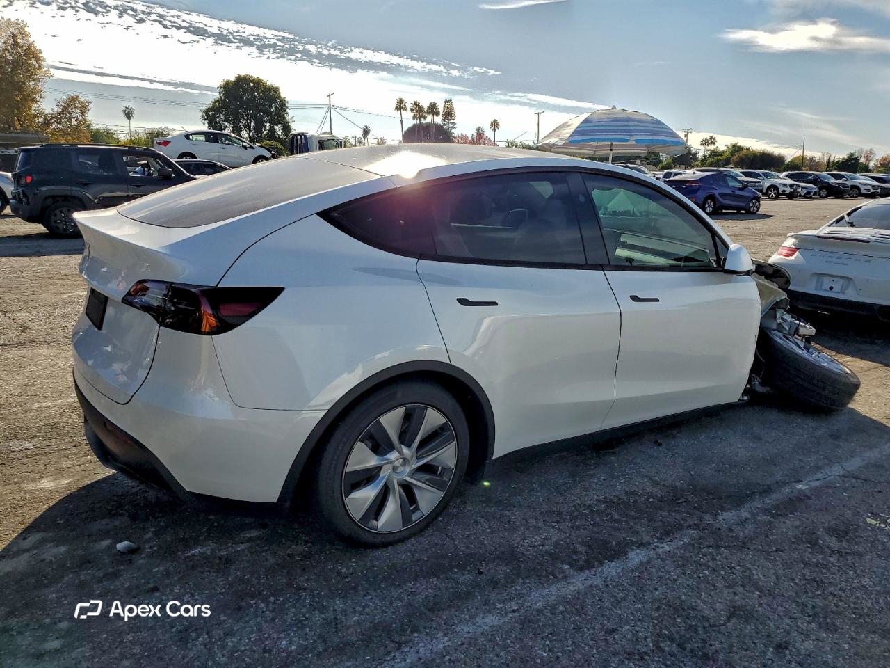 Tesla Model Y 2024