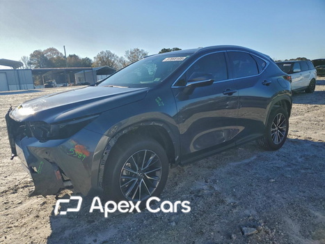 Lexus NX 2025 - Image 1 of 13