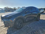 Lexus NX 2025