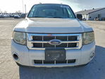 Ford Escape 2009