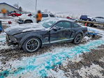 Ford Mustang 2007