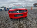 Ford Mustang 2014