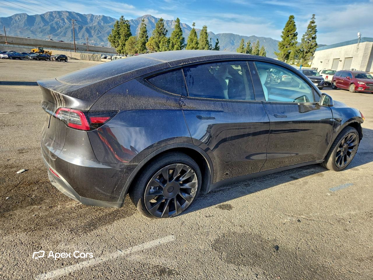 Tesla Model Y 2024