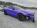 Ford Mustang 2013