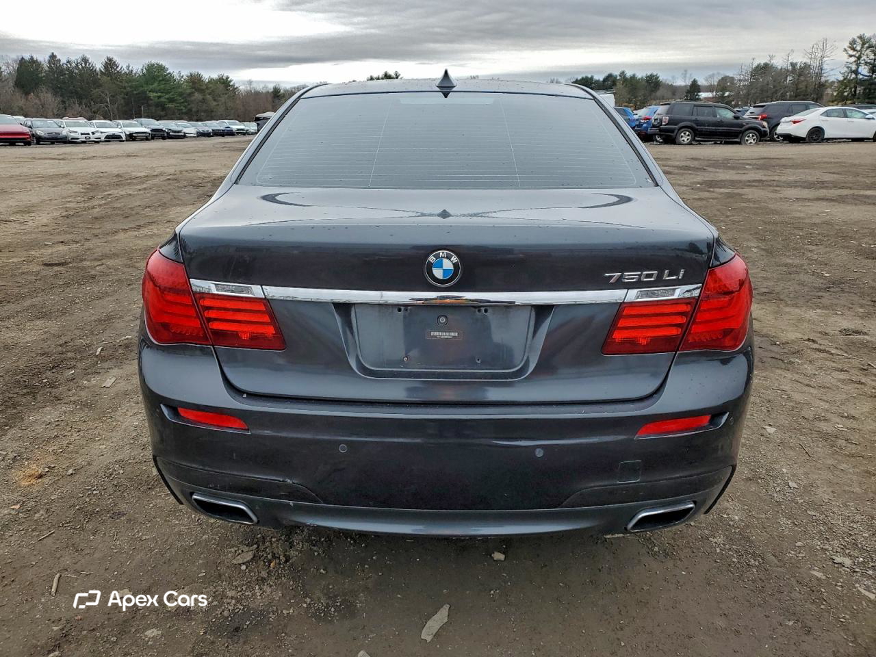 BMW Series 7 2013