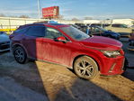 Lexus RX 2023