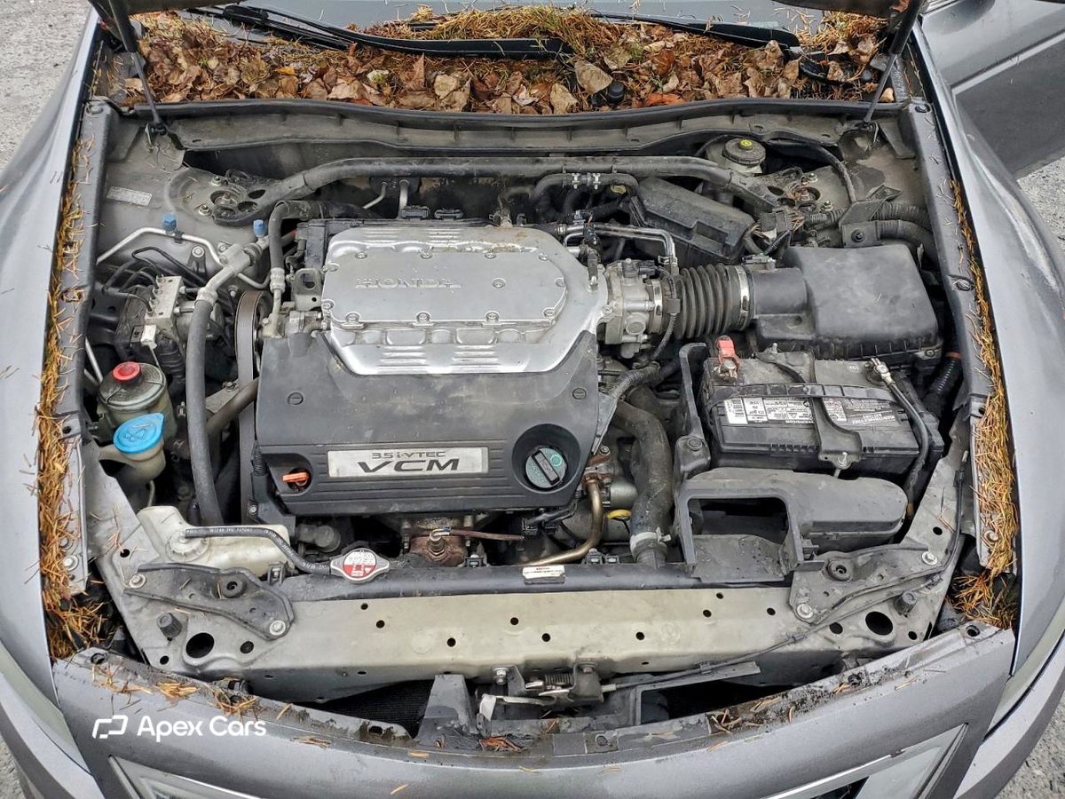 Honda Accord 2010