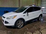 Ford Escape 2014
