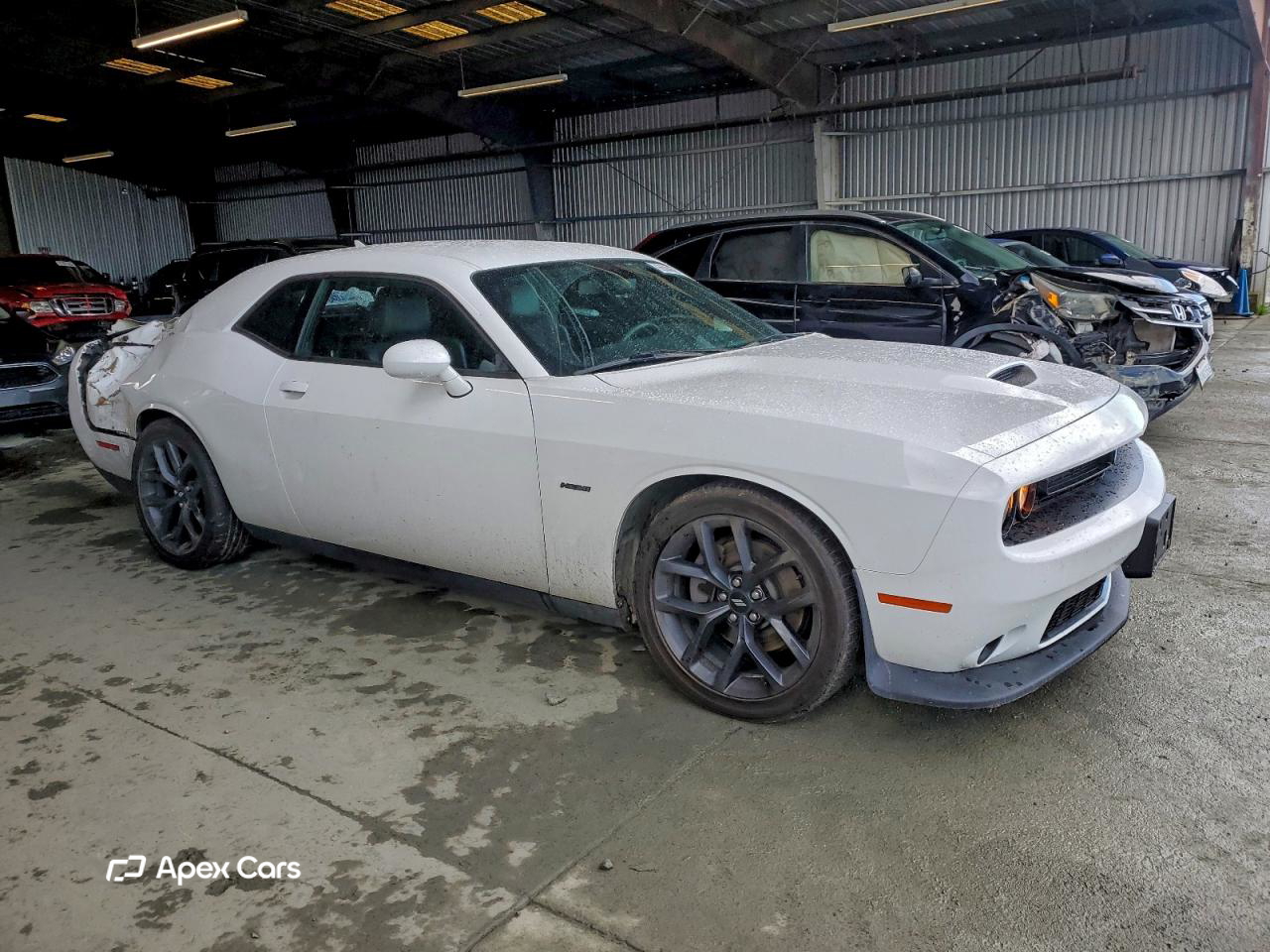 Dodge Challenger 2019