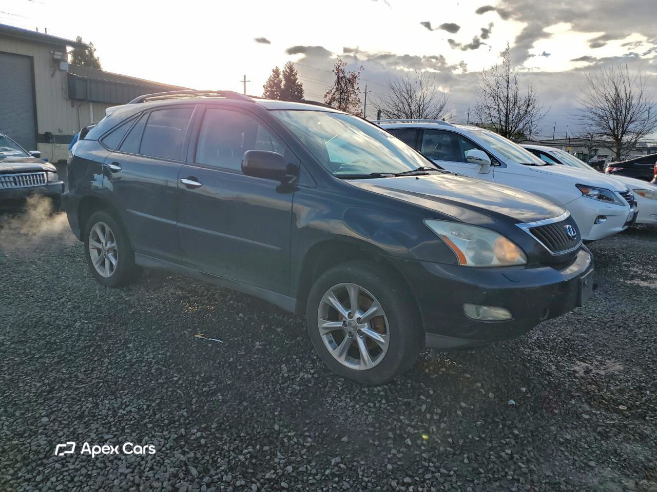 Lexus RX 2009