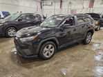 Toyota RAV 4 2024