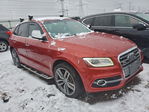 Audi SQ5 2015