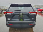 Toyota RAV 4 2024