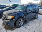 Ford Escape 2012