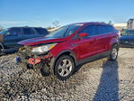 Ford Escape 2014