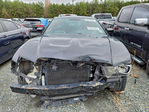 Dodge Charger 2013