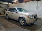 Ford Escape 2012