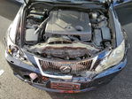 Lexus IS 2010