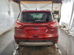 Ford Escape 2014