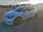 Tesla Model Y 2020