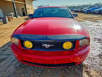 Ford Mustang 2006