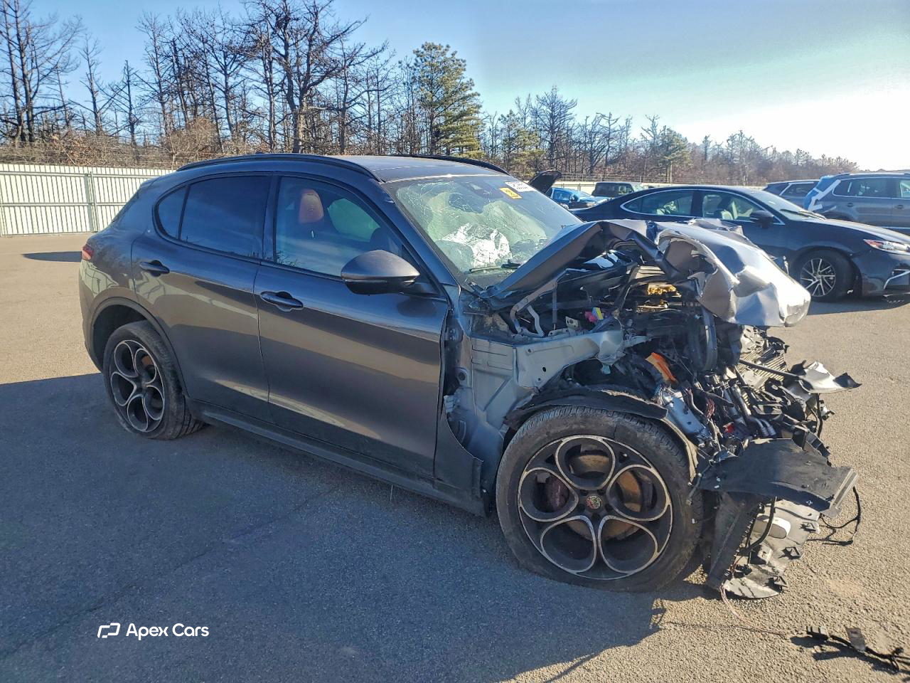 Alfa Romeo Stelvio 2019