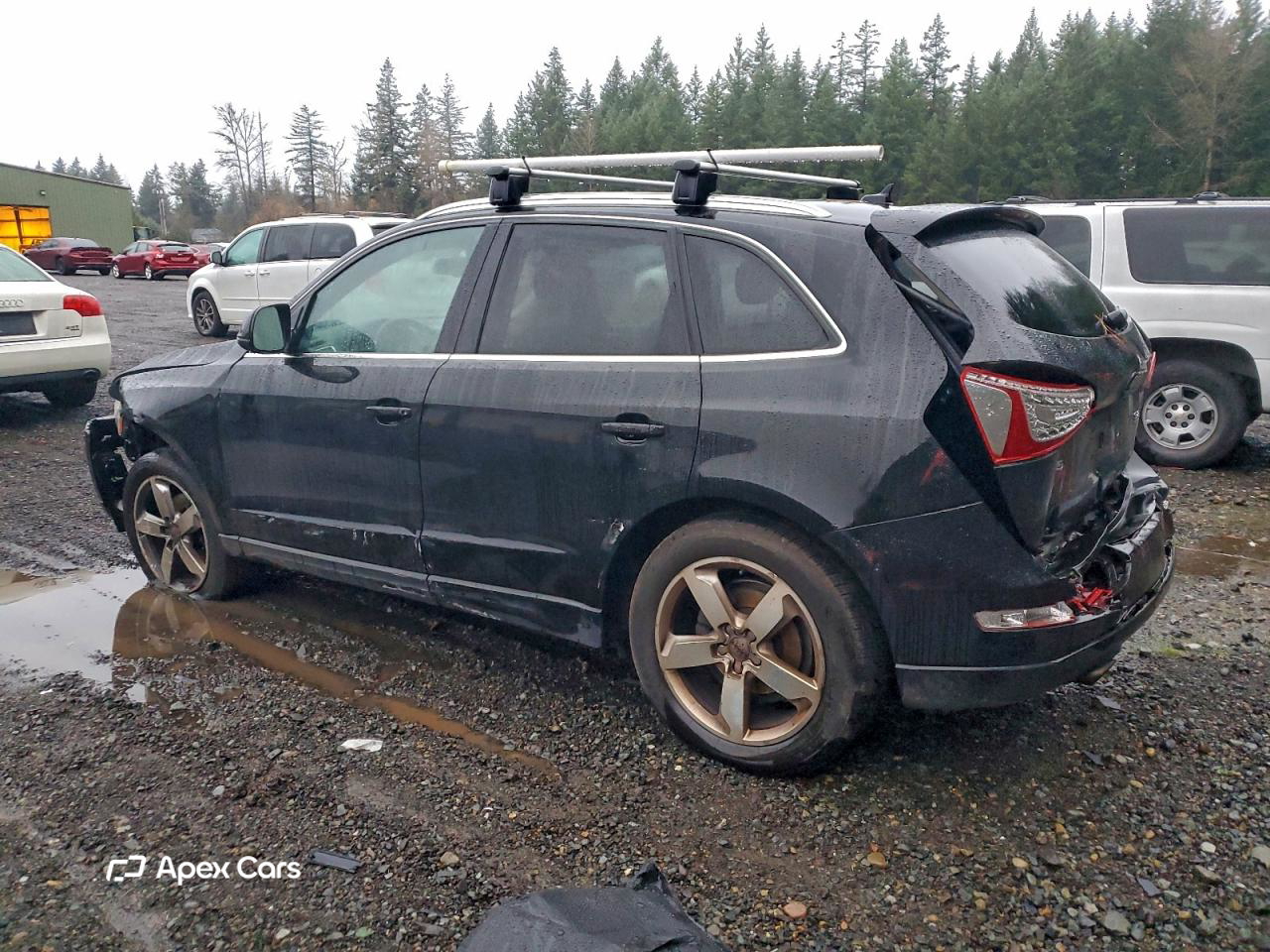 Audi Q5 2010
